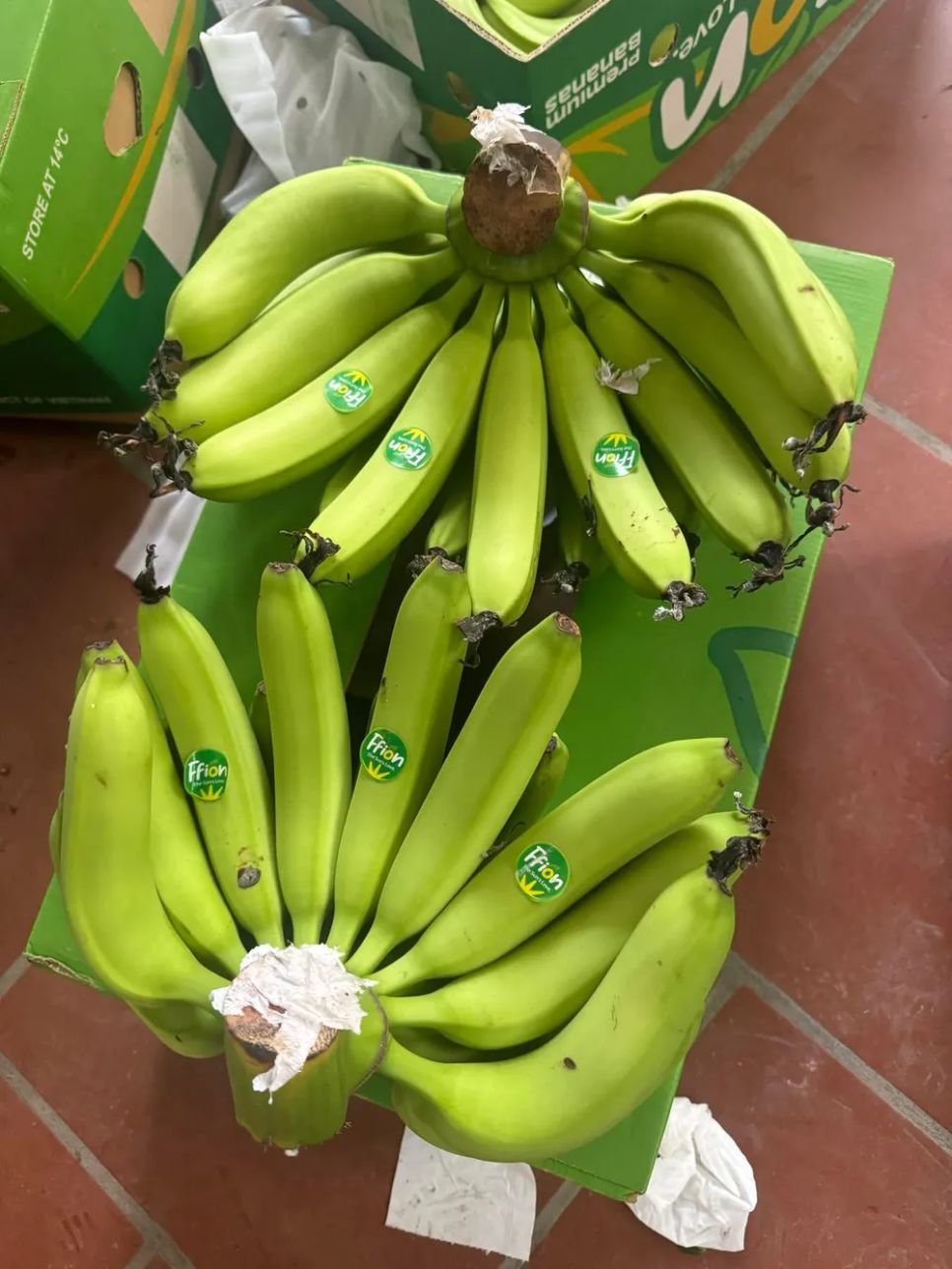 Tết Bính Ngọ, mặt hàng chuối thờ tiếp tục giá cao