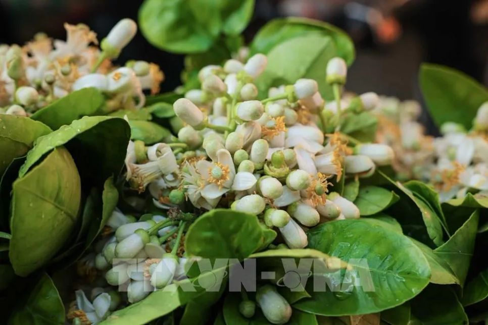 Nét đẹp truyền thống đi chợ sớm sáng 30 Tết