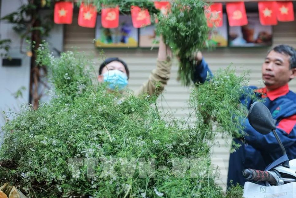 Nét đẹp truyền thống đi chợ sớm sáng 30 Tết