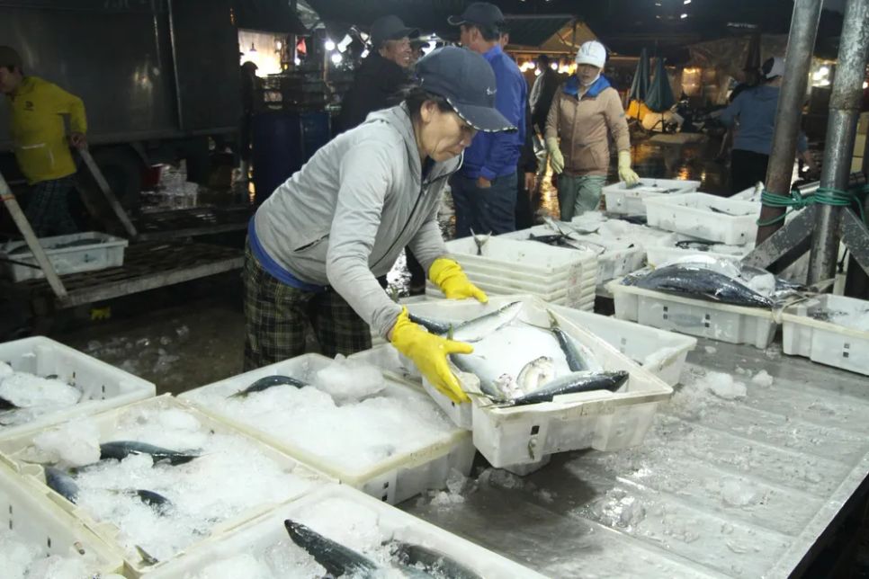 Niềm vui trên những chuyến biển 'tất niên' tại cảng cá Thọ Quang