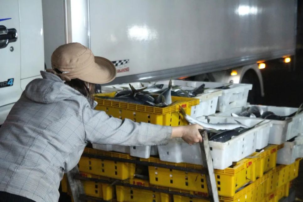 Niềm vui trên những chuyến biển 'tất niên' tại cảng cá Thọ Quang