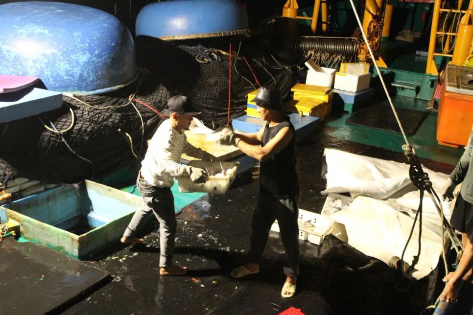 Niềm vui trên những chuyến biển 'tất niên' tại cảng cá Thọ Quang