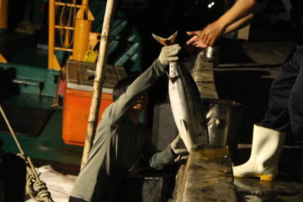 Niềm vui trên những chuyến biển 'tất niên' tại cảng cá Thọ Quang