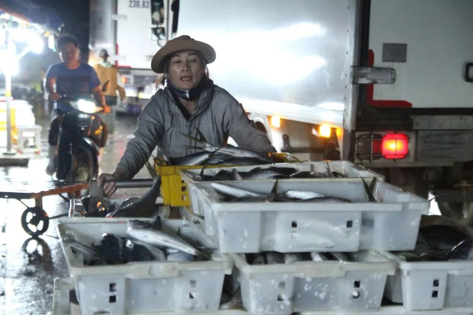 Niềm vui trên những chuyến biển 'tất niên' tại cảng cá Thọ Quang