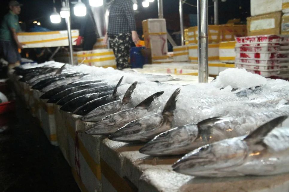 Niềm vui trên những chuyến biển 'tất niên' tại cảng cá Thọ Quang