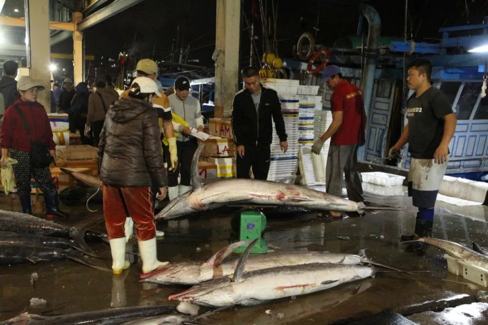 Niềm vui trên những chuyến biển 'tất niên' tại cảng cá Thọ Quang