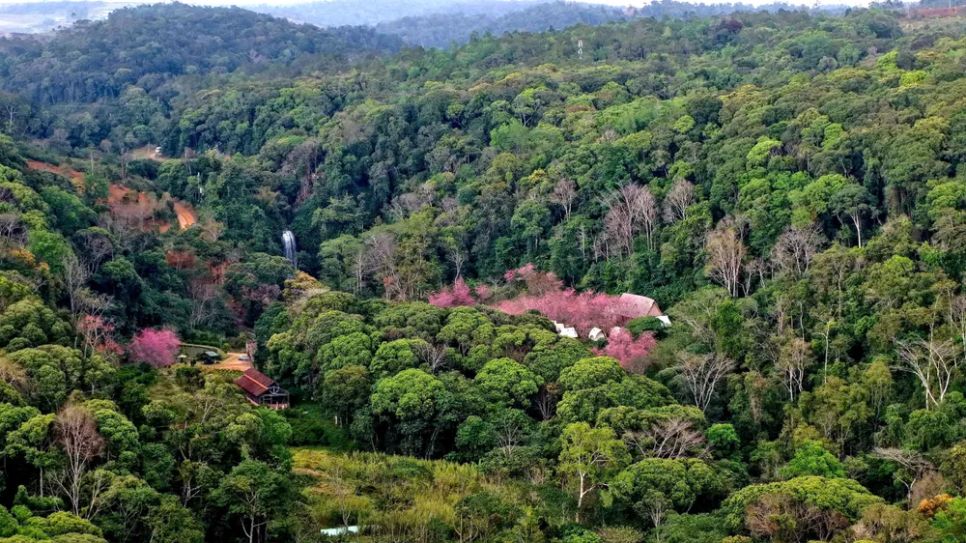 Măng Đen - Không gian sinh thái trong lành và yên bình