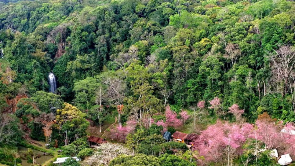 Măng Đen - Không gian sinh thái trong lành và yên bình