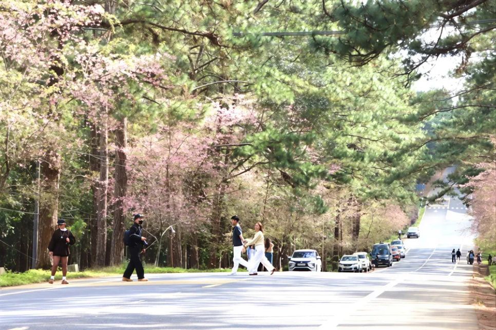 Măng Đen - Không gian sinh thái trong lành và yên bình