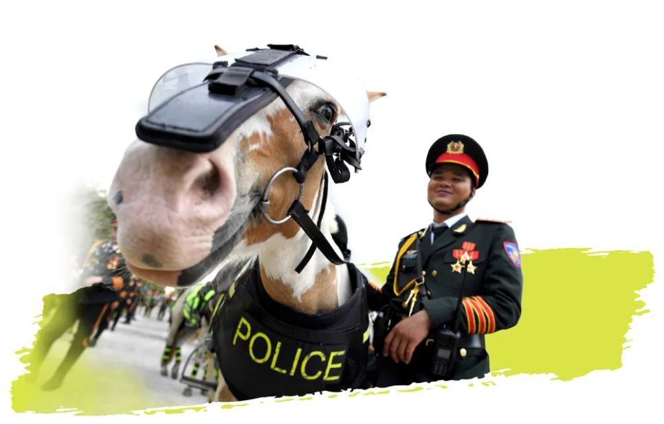 Năm Ngọ nói chuyện ngựa