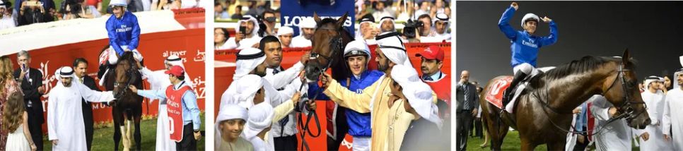 Năm Ngọ nói chuyện ngựa