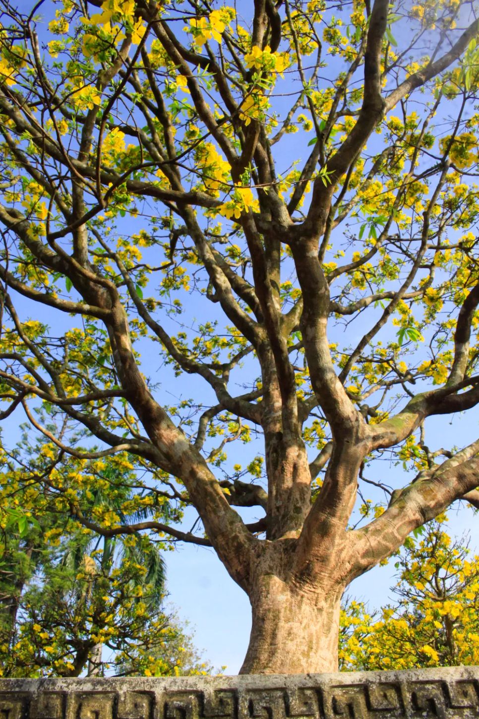 Ảnh: NGUYỄN TRANG