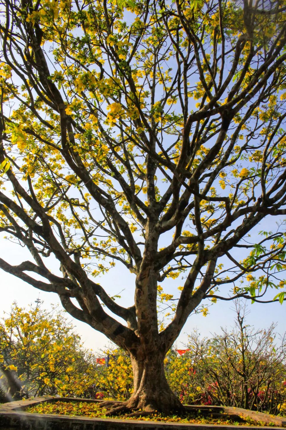 Chiêm ngưỡng vẻ đẹp của 