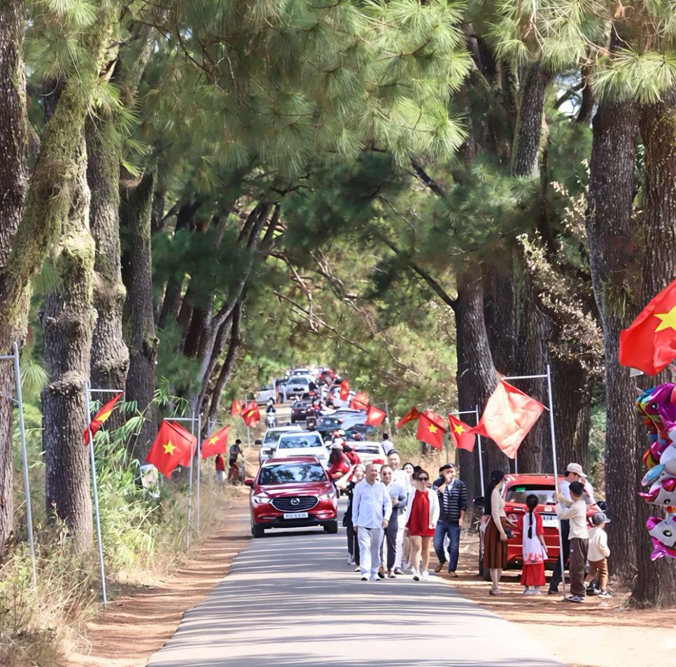 Khu vực hàng thông trăm tuổi là địa điểm được người dân lựa chọn để du xuân Khu vực hàng thông trăm tuổi là địa điểm được người dân lựa chọn để du xuân