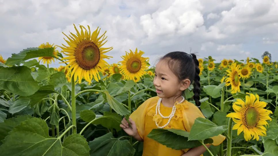 Quảng Ngãi: Nhiều điểm du xuân thu hút khách Quảng Ngãi: Nhiều điểm du xuân thu hút khách