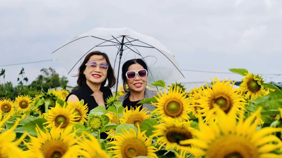 Rạng rỡ trong nắng xuân. Ảnh: NGUYỄN TRANG Rạng rỡ trong nắng xuân. Ảnh: NGUYỄN TRANG