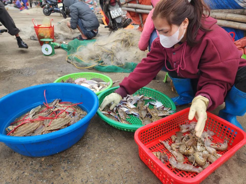 Ngư dân Hà Tĩnh trúng 