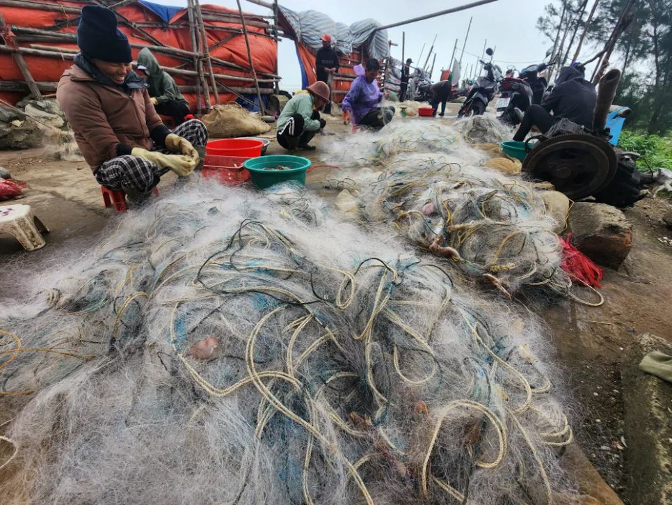 Ngư dân tập trung gỡ ghẹ và cá mắc trong lưới