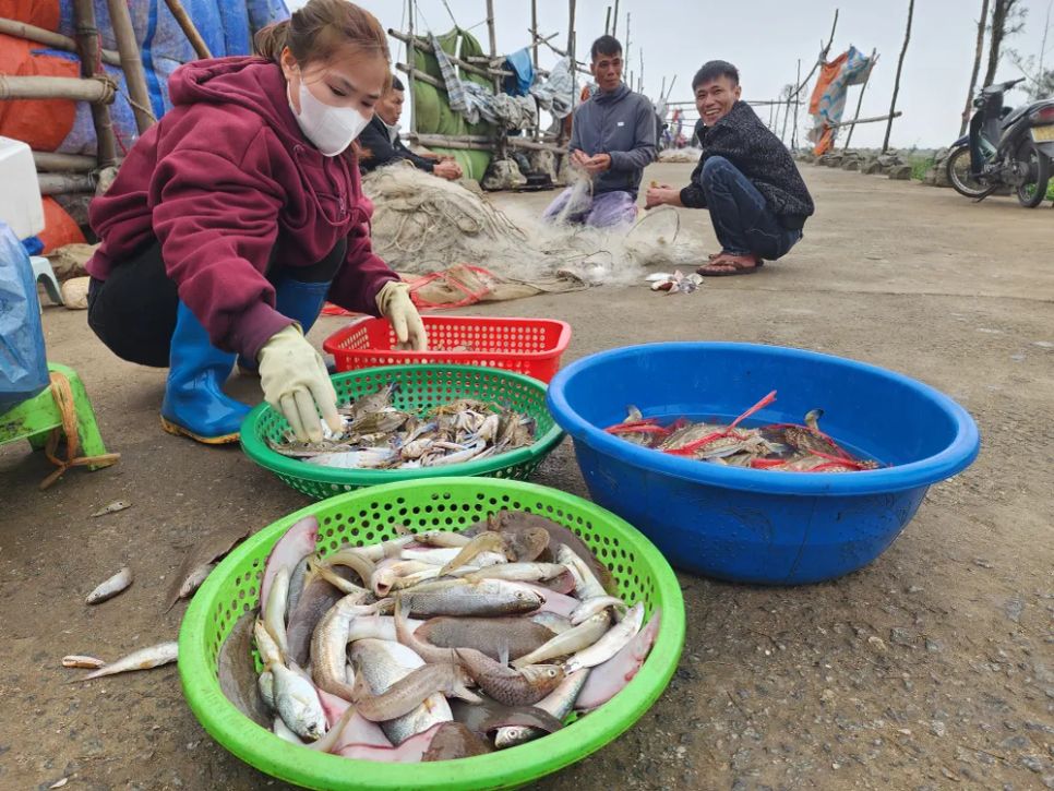Cá và ghẹ được ngư dân đánh bắt đưa vào bờ
