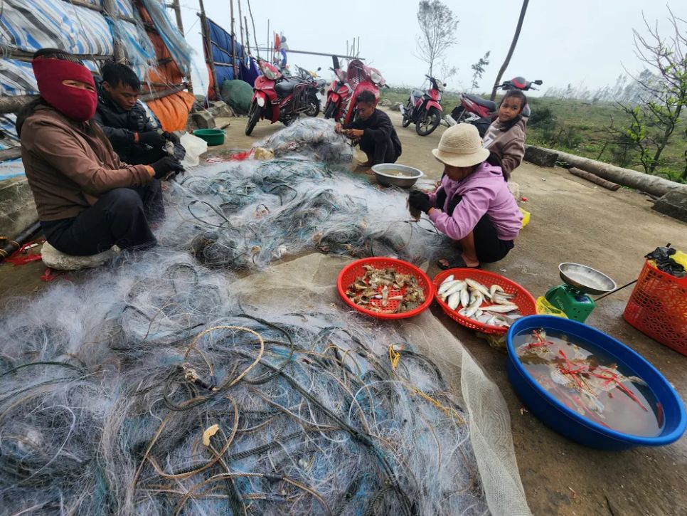 Ngư dân gỡ ghẹ và cá