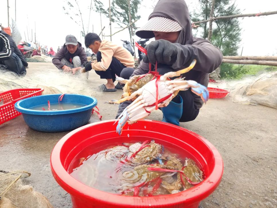 Ngư dân gỡ ghẹ và cá mắc trong lưới sau khi vào bờ