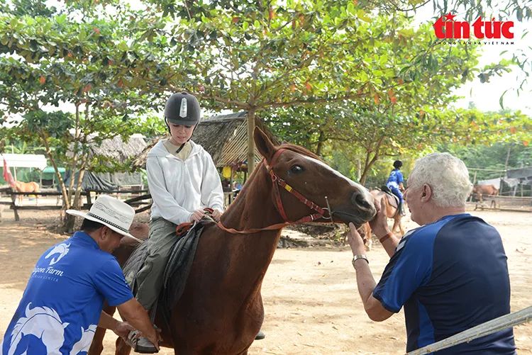 Nghề nuôi ngựa đua vang bóng một thời ở TPHCM