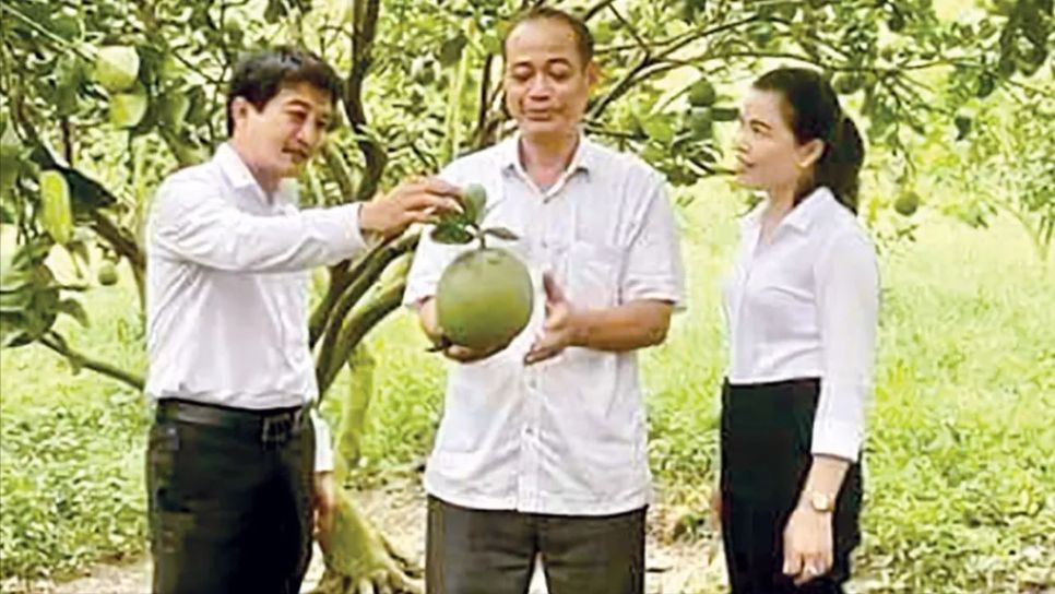 Nông dân TPHCM viết tiếp câu chuyện 'nông nghiệp 4.0' Nông dân TPHCM viết tiếp câu chuyện 'nông nghiệp 4.0'