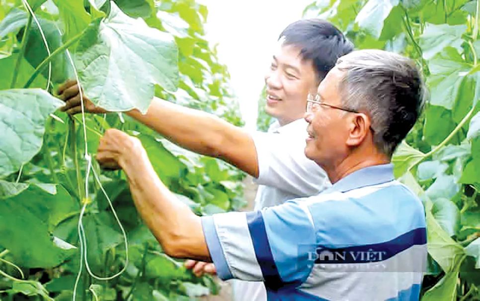 Nông dân TPHCM viết tiếp câu chuyện 'nông nghiệp 4.0' Nông dân TPHCM viết tiếp câu chuyện 'nông nghiệp 4.0'