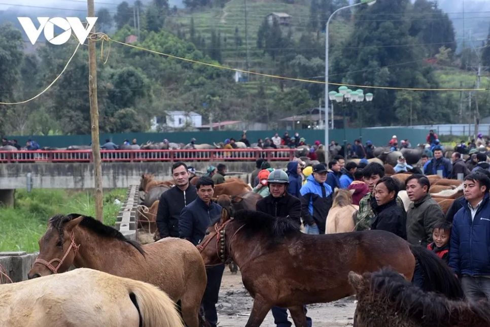 <p>Người buôn, kẻ bán vây quanh một con ngựa, tiếng mặc cả vang lên giữa phiên chợ đông dần.</p>