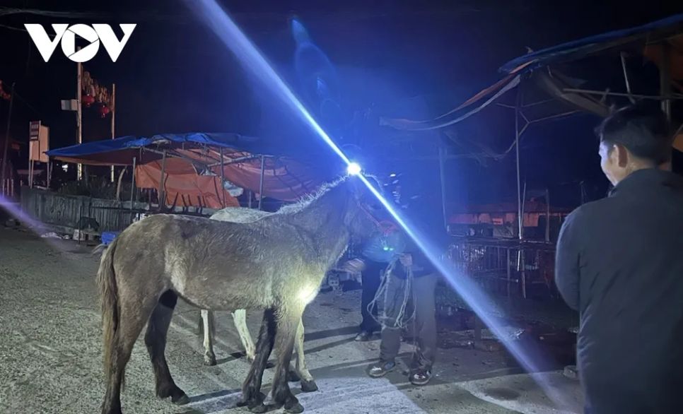 <p>Từ sáng sớm, khi trời còn tối mịt trong sương lạnh bao trùm người dắt ngựa vào chợ chuẩn bị cho một phiên chợ</p>