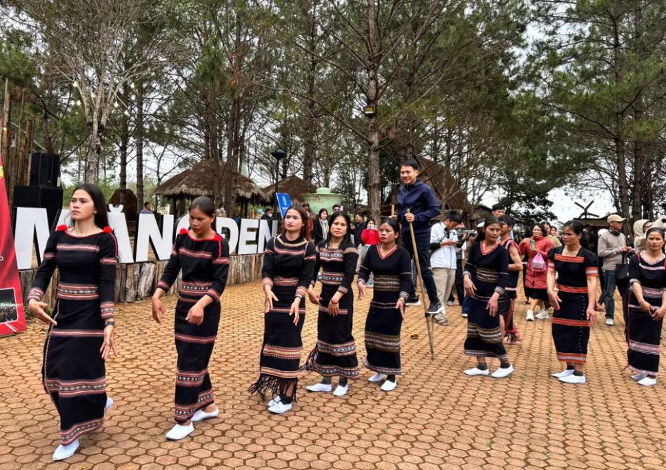 Biểu diễn điệu xoang