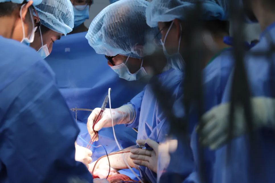 Sự sống nối dài nhờ nghĩa cử hiến tạng