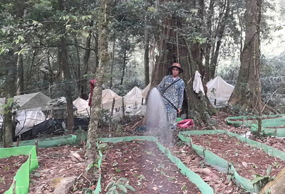 Trong thời gian tết, nhóm hộ của anh A Dũng phải thay nhau chăm sóc, tưới nước cho sâm Ngọc Linh