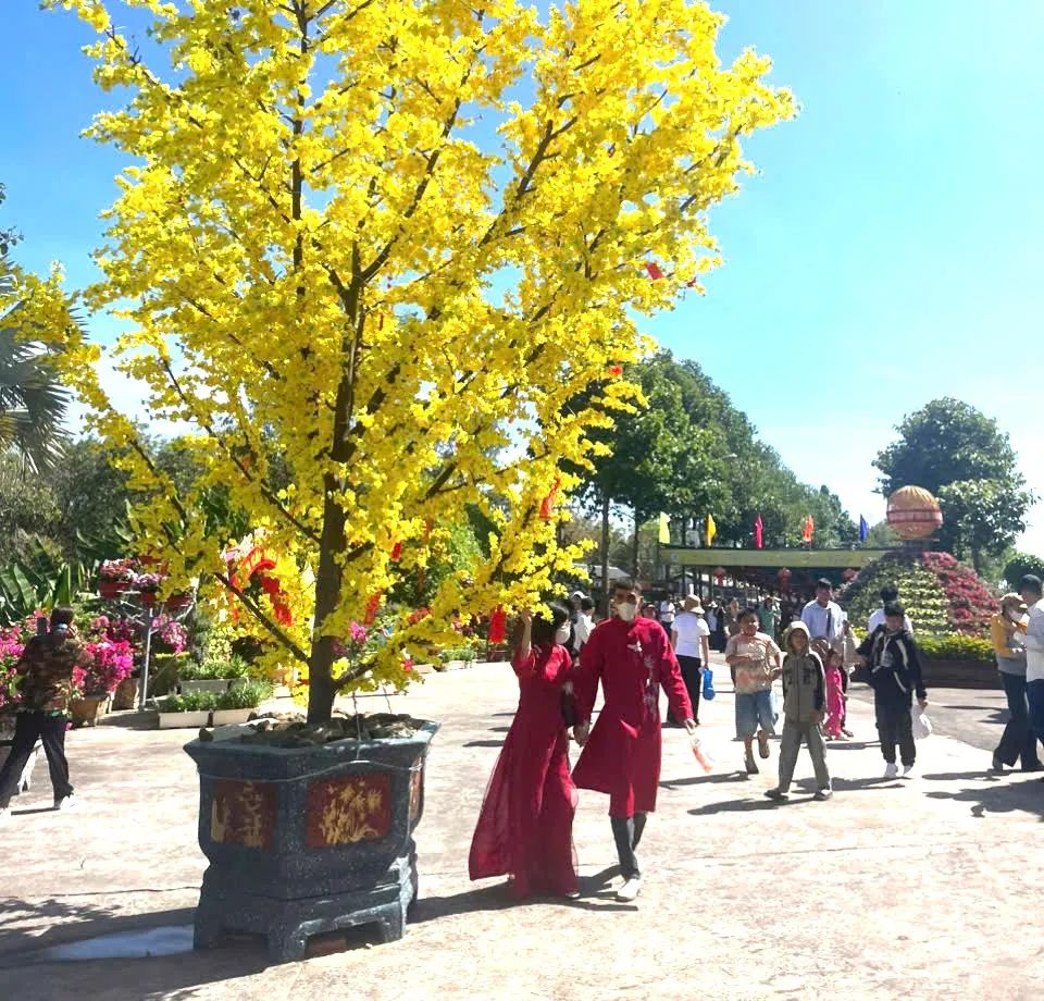 Không khí xuân tràn ngập ở núi Chứa Chan, tỉnh Đồng Nai