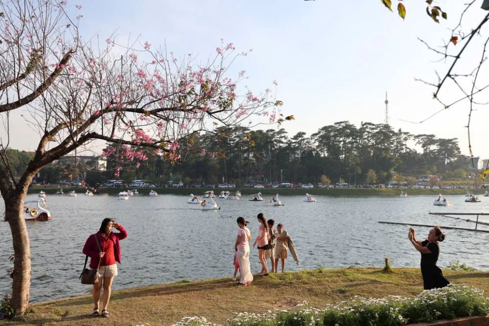 Đà Lạt hút du khách dịp đầu năm