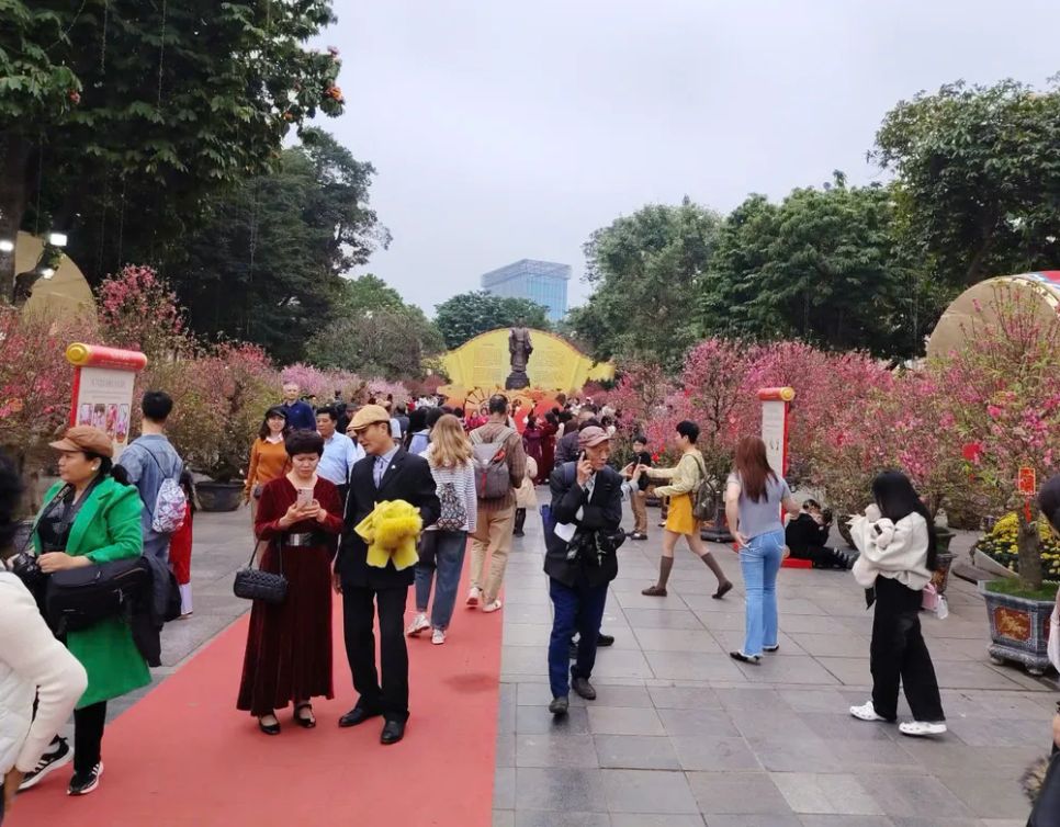 Vườn đào bên tượng đài Vua Lý Thái Tổ hồ Gươm thu hút du khách