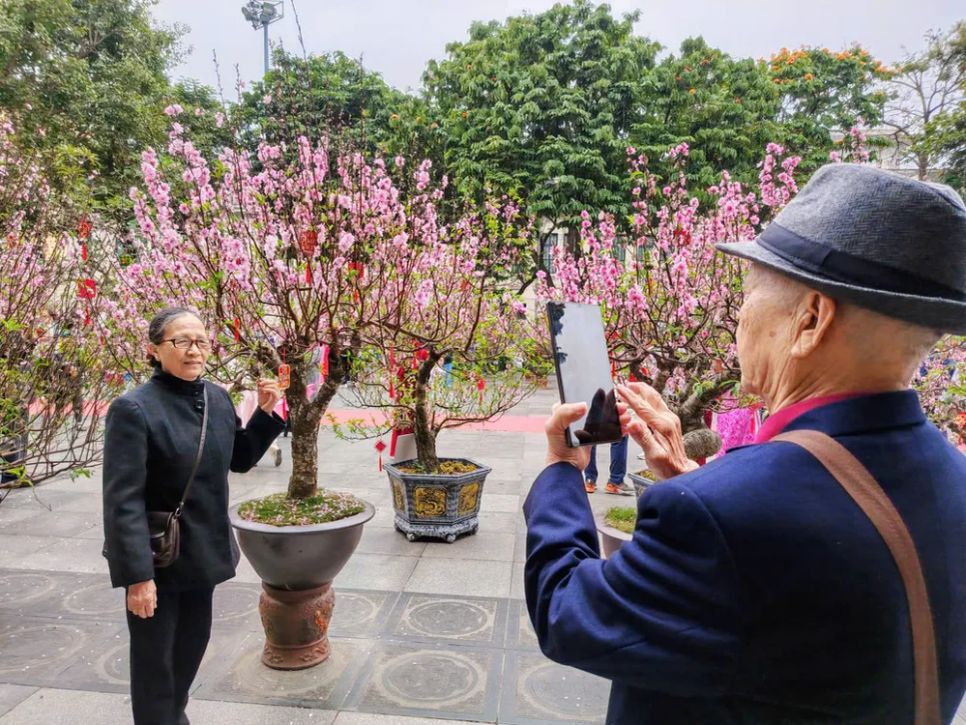 Vườn đào bên tượng đài Vua Lý Thái Tổ hồ Gươm thu hút du khách