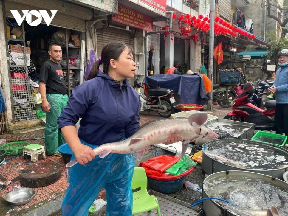 Chợ truyền thống nhộn nhịp mùng 4 Tết Chợ truyền thống nhộn nhịp mùng 4 Tết