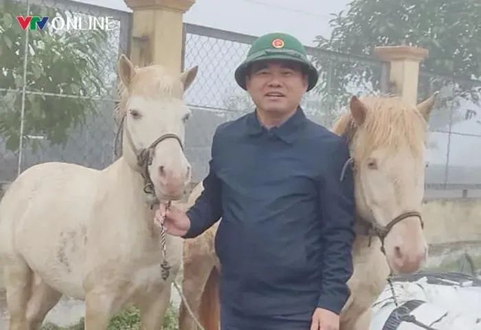 Nỗ lực bảo tồn giống ngựa quý tại cổng trời Mường Lống