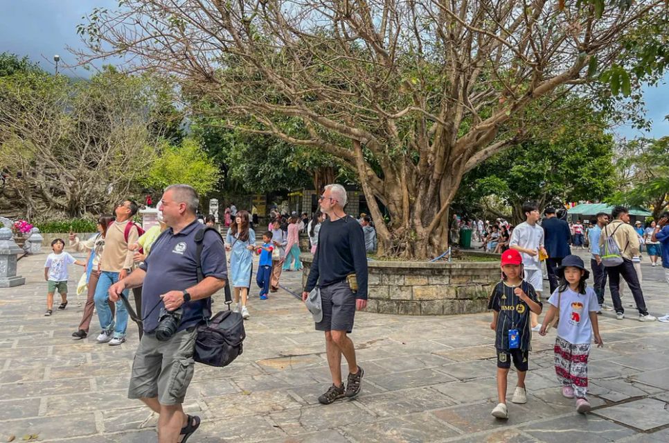 Sắc hoa xuân rực rỡ kết hợp với màu xanh của núi rừng Sơn Trà níu chân du khách phương xa. Ảnh: XUÂN QUỲNH Sắc hoa xuân rực rỡ kết hợp với màu xanh của núi rừng Sơn Trà níu chân du khách phương xa. Ảnh: XUÂN QUỲNH