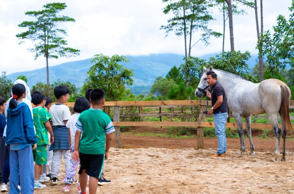 Các em nhỏ được giới thiệu về ngựa và cách cưỡi ngựa Các em nhỏ được giới thiệu về ngựa và cách cưỡi ngựa