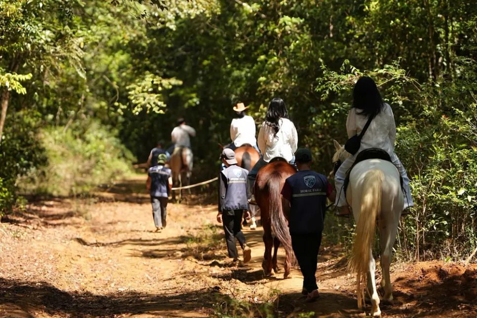 Chở khách vào rừng tham quan Chở khách vào rừng tham quan