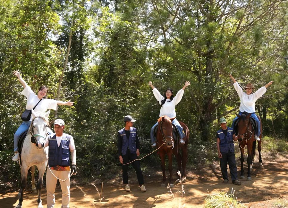 Hoạt động cưỡi ngựa giữa đại ngàn Măng Đen thu hút khách dịp tết Hoạt động cưỡi ngựa giữa đại ngàn Măng Đen thu hút khách dịp tết
