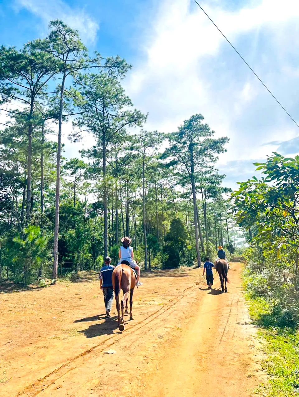 Mỗi chú ngựa sẽ có một nài ngựa đi kèm để dẫn dắt ngựa Mỗi chú ngựa sẽ có một nài ngựa đi kèm để dẫn dắt ngựa