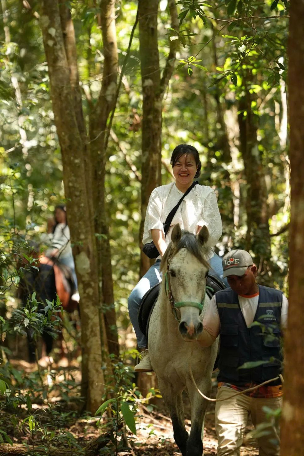 Những chú ngựa đưa du khách trải nghiệm vẻ đẹp các cánh rừng Những chú ngựa đưa du khách trải nghiệm vẻ đẹp các cánh rừng