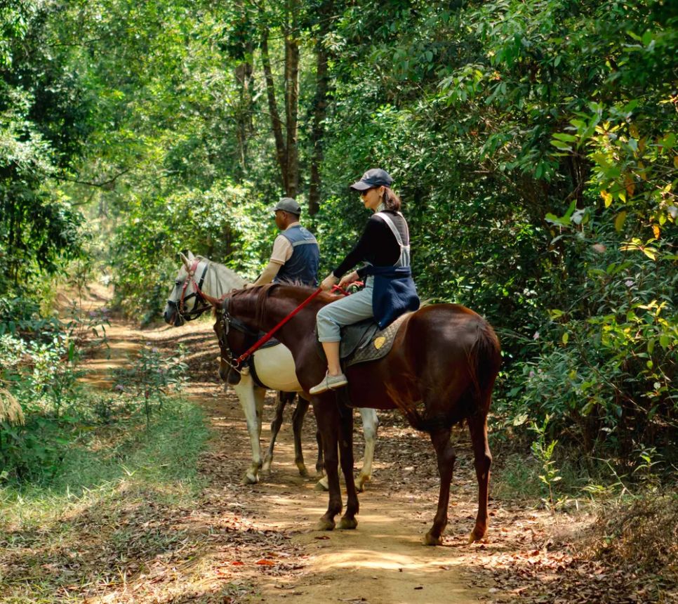 Quảng Ngãi: Cưỡi ngựa giữa rừng già thu hút du khách ảnh 14 Quảng Ngãi: Cưỡi ngựa giữa rừng già thu hút du khách ảnh 14