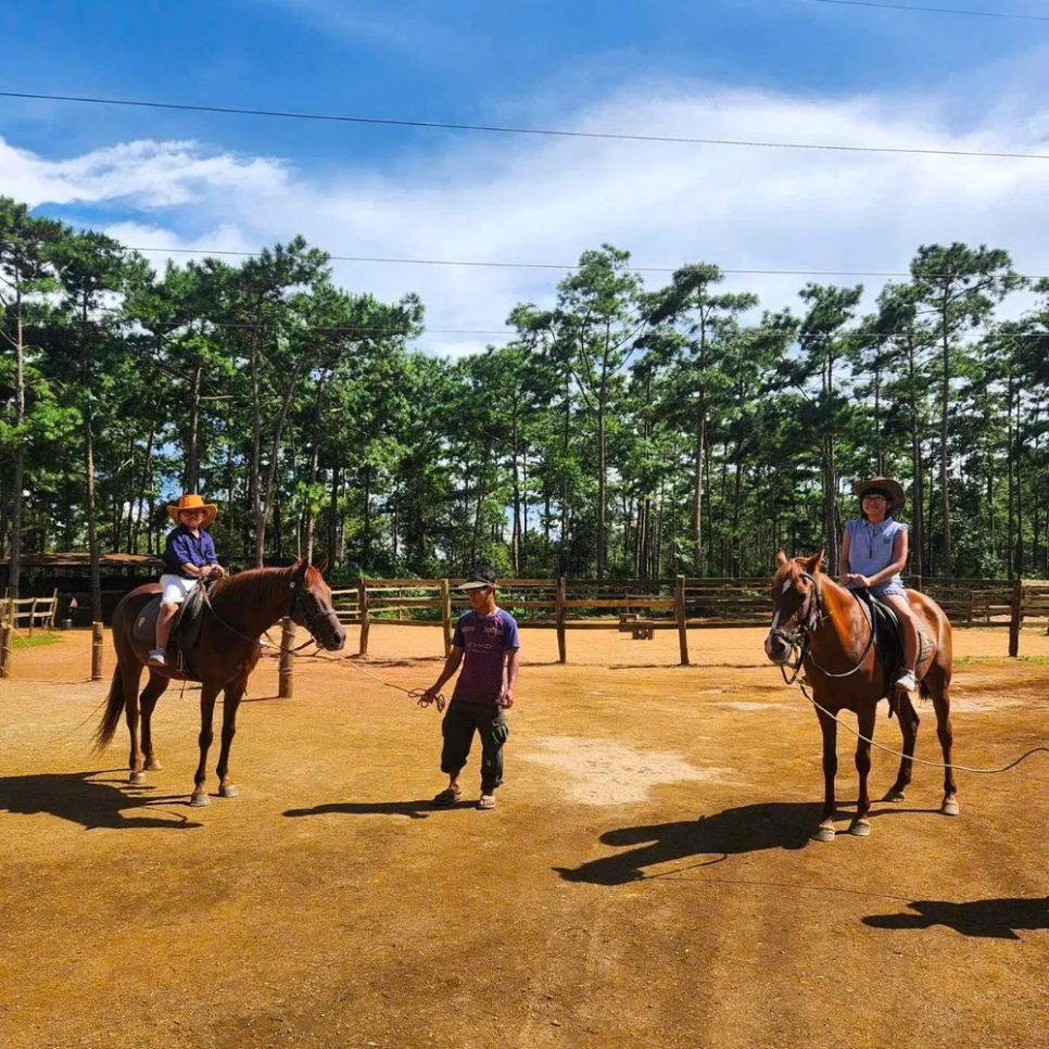 Quảng Ngãi: Cưỡi ngựa giữa rừng già thu hút du khách ảnh 7 Quảng Ngãi: Cưỡi ngựa giữa rừng già thu hút du khách ảnh 7