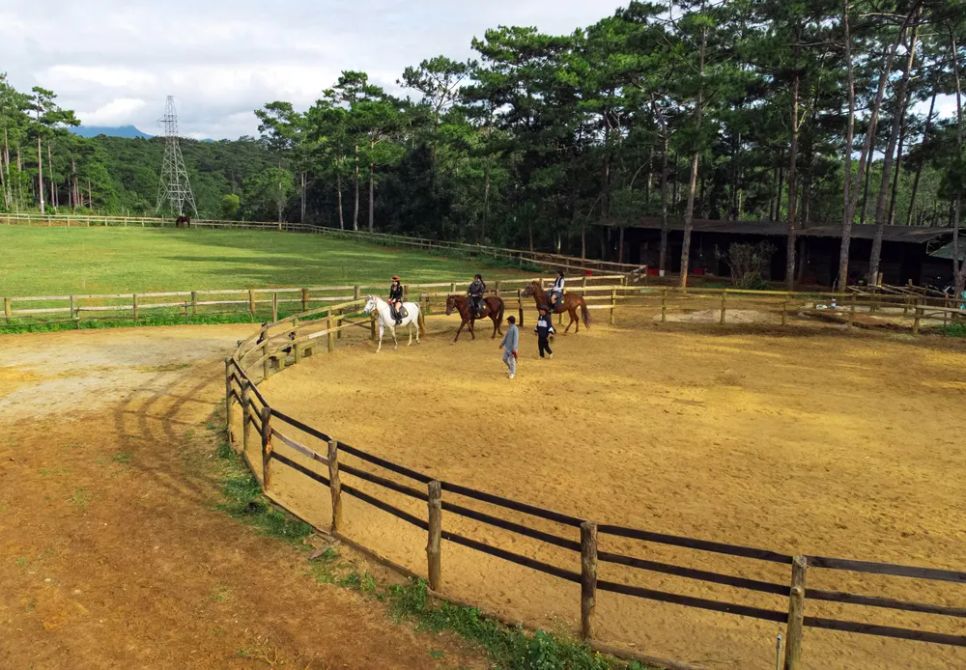 Trại ngựa giữa đại ngàn Măng Đen Trại ngựa giữa đại ngàn Măng Đen