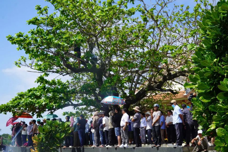 Đặc khu Lý Sơn khai hội đua thuyền truyền thống Tứ Linh ảnh 10