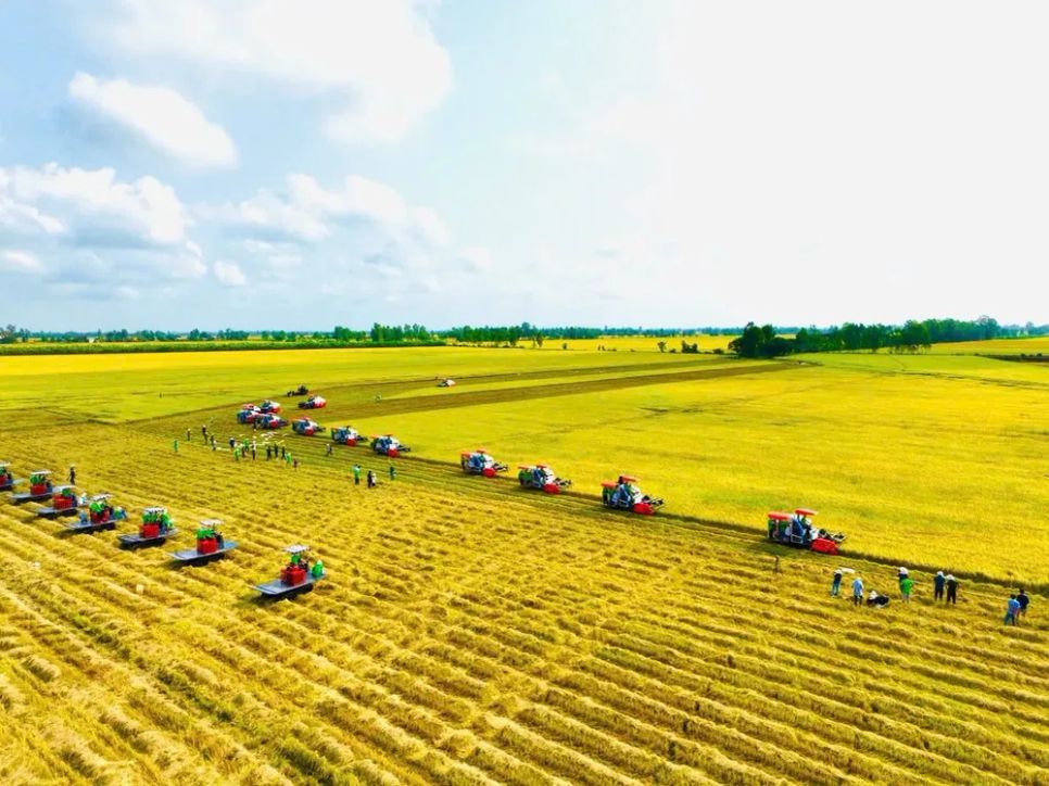 “Hộ chiếu số” cho đồng bằng sông Cửu Long 